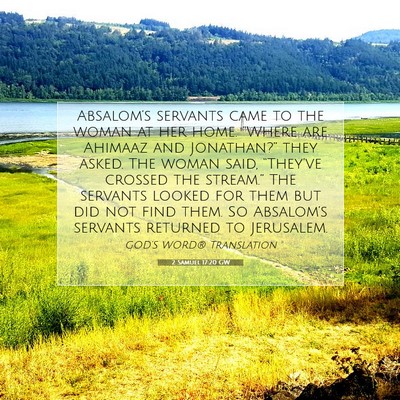 Picture 07 - 2 Samuel 17:20 GW - Absalom’s servants came to the woman at her - Bible Verse Picture