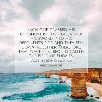 Picture 07 - 2 Samuel 2:16 GW - Each one grabbed his opponent by the head, stuck - Bible Verse Picture