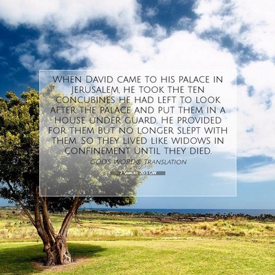 Picture 07 - 2 Samuel 20:3 GW - When David came to his palace in Jerusalem, he - Bible Verse Picture