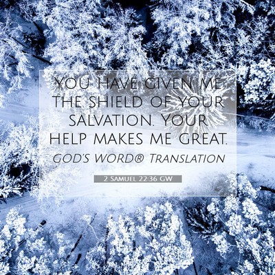Picture 07 - 2 Samuel 22:36 GW - You have given me the shield of your salvation. - Bible Verse Picture