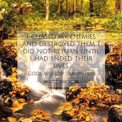 Picture 07 - 2 Samuel 22:38 GW - I chased my enemies and destroyed them. I did not - Bible Verse Picture