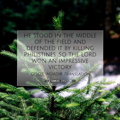 Picture 07 - 2 Samuel 23:12 GW - he stood in the middle of the field and defended - Bible Verse Picture