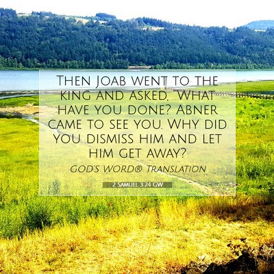 Picture 07 - 2 Samuel 3:24 GW - Then Joab went to the king and asked, “What - Bible Verse Picture