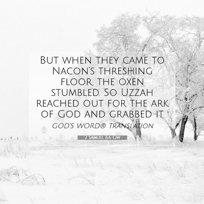 Picture 07 - 2 Samuel 6:6 GW - But when they came to Nacon’s threshing floor, - Bible Verse Picture