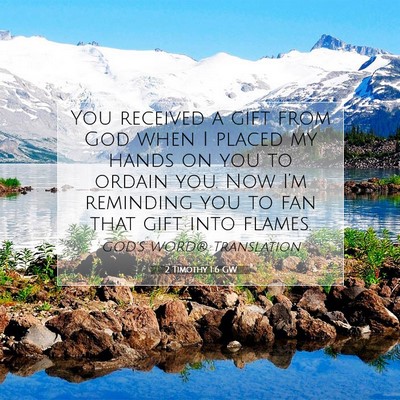 Picture 07 - 2 Timothy 1:6 GW - You received a gift from God when I placed my - Bible Verse Picture