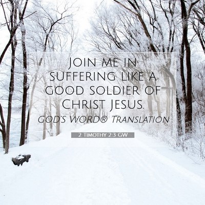 Picture 07 - 2 Timothy 2:3 GW - Join me in suffering like a good soldier of - Bible Verse Picture