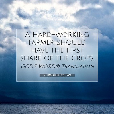Picture 07 - 2 Timothy 2:6 GW - A hard-working farmer should have the first share - Bible Verse Picture