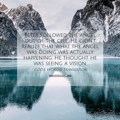 Picture 07 - Acts 12:9 GW - Peter followed the angel out of the cell. He - Bible Verse Picture