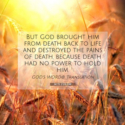 Picture 07 - Acts 2:24 GW - But God brought him from death back to life and - Bible Verse Picture