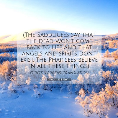 Picture 07 - Acts 23:8 GW - (The Sadducees say that the dead won’t come - Bible Verse Picture