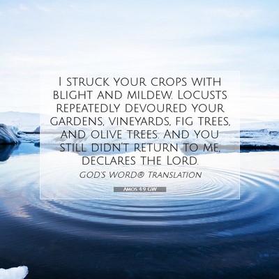 Picture 07 - Amos 4:9 GW - I struck your crops with blight and mildew. - Bible Verse Picture