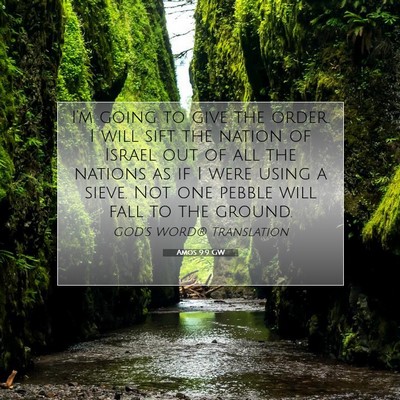 Picture 07 - Amos 9:9 GW - I’m going to give the order. I will sift the - Bible Verse Picture