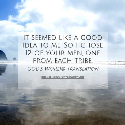 Picture 07 - Deuteronomy 1:23 GW - It seemed like a good idea to me. So I chose 12 - Bible Verse Picture