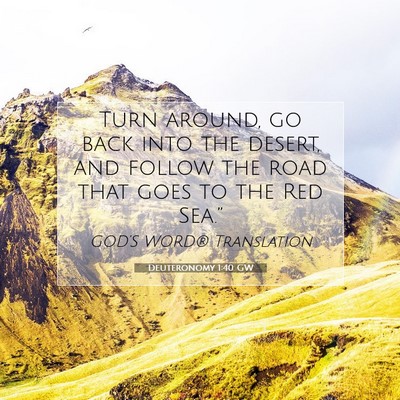 Picture 07 - Deuteronomy 1:40 GW - Turn around, go back into the desert, and follow - Bible Verse Picture