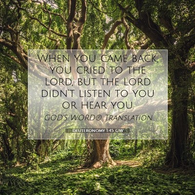Picture 07 - Deuteronomy 1:45 GW - When you came back, you cried to the Lord, but - Bible Verse Picture