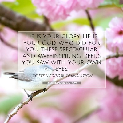 Picture 07 - Deuteronomy 10:21 GW - He is your glory. He is your God, who did for you - Bible Verse Picture