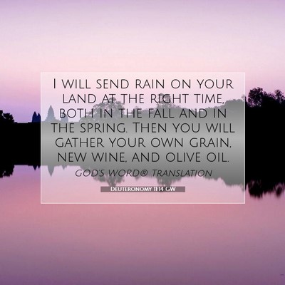 Picture 07 - Deuteronomy 11:14 GW - I will send rain on your land at the right time, - Bible Verse Picture