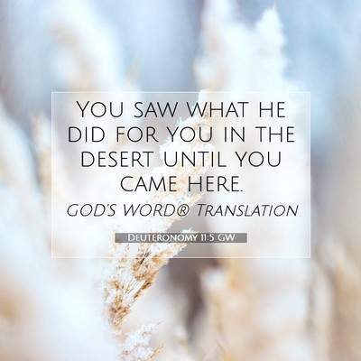 Picture 07 - Deuteronomy 11:5 GW - You saw what he did for you in the desert until - Bible Verse Picture