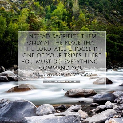 Picture 07 - Deuteronomy 12:14 GW - Instead, sacrifice them only at the place that - Bible Verse Picture