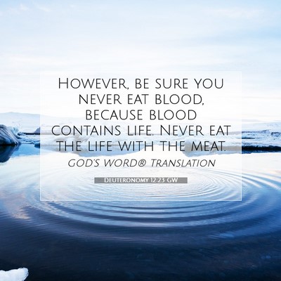 Picture 07 - Deuteronomy 12:23 GW - However, be sure you never eat blood, because - Bible Verse Picture