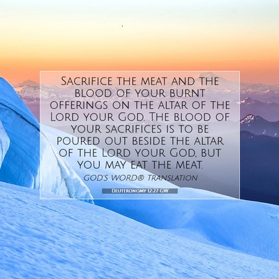 Picture 07 - Deuteronomy 12:27 GW - Sacrifice the meat and the blood of your burnt - Bible Verse Picture