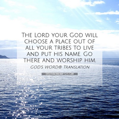 Picture 07 - Deuteronomy 12:5 GW - The Lord your God will choose a place out of all - Bible Verse Picture