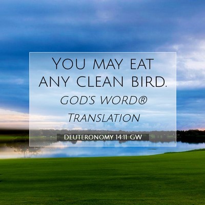 Picture 07 - Deuteronomy 14:11 GW - You may eat any clean - Bible Verse Picture