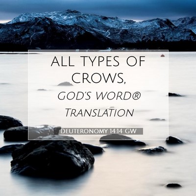 Picture 07 - Deuteronomy 14:14 GW - all types of - Bible Verse Picture