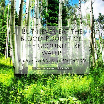Picture 07 - Deuteronomy 15:23 GW - But never eat the blood. Pour it on the ground - Bible Verse Picture