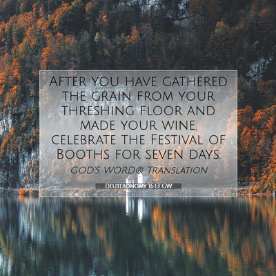 Picture 07 - Deuteronomy 16:13 GW - After you have gathered the grain from your - Bible Verse Picture