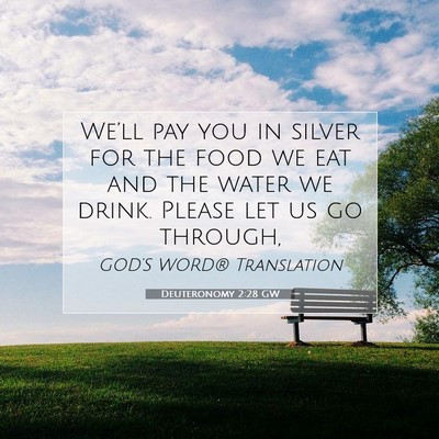 Picture 07 - Deuteronomy 2:28 GW - We’ll pay you in silver for the food we eat and - Bible Verse Picture