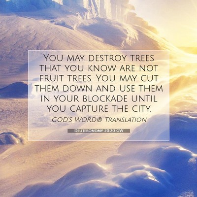 Picture 07 - Deuteronomy 20:20 GW - You may destroy trees that you know are not fruit - Bible Verse Picture