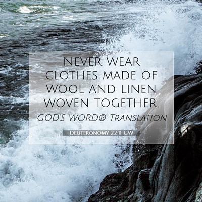 Picture 07 - Deuteronomy 22:11 GW - Never wear clothes made of wool and linen woven - Bible Verse Picture