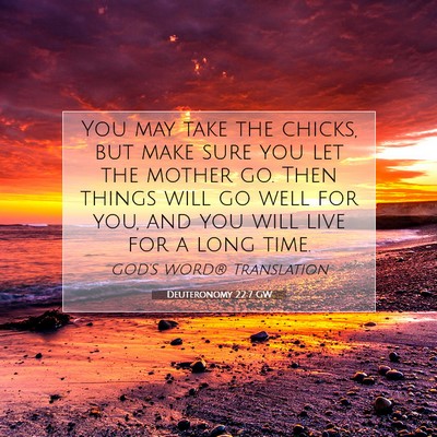 Picture 07 - Deuteronomy 22:7 GW - You may take the chicks, but make sure you let - Bible Verse Picture