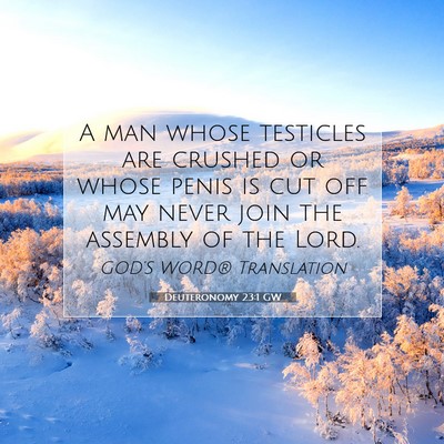 Picture 07 - Deuteronomy 23:1 GW - A man whose testicles are crushed or whose penis - Bible Verse Picture