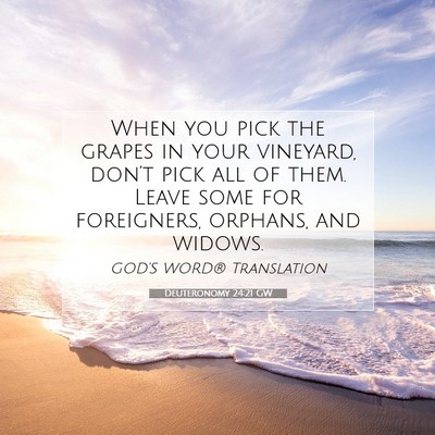 Picture 07 - Deuteronomy 24:21 GW - When you pick the grapes in your vineyard, - Bible Verse Picture