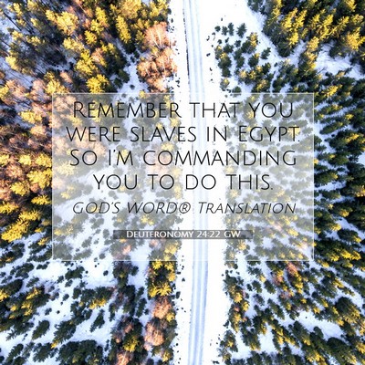 Picture 07 - Deuteronomy 24:22 GW - Remember that you were slaves in Egypt. So I’m - Bible Verse Picture