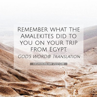 Picture 07 - Deuteronomy 25:17 GW - Remember what the Amalekites did to you on your - Bible Verse Picture