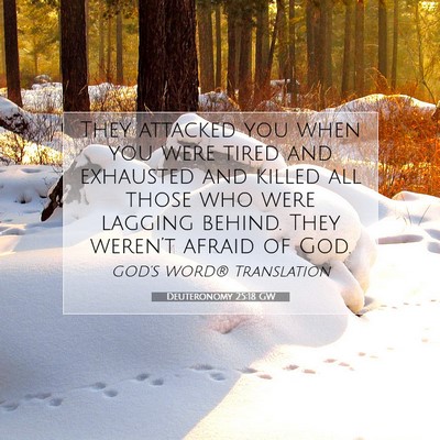 Picture 07 - Deuteronomy 25:18 GW - They attacked you when you were tired and - Bible Verse Picture