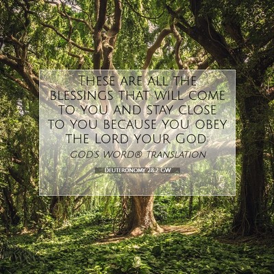 Picture 07 - Deuteronomy 28:2 GW - These are all the blessings that will come to you - Bible Verse Picture