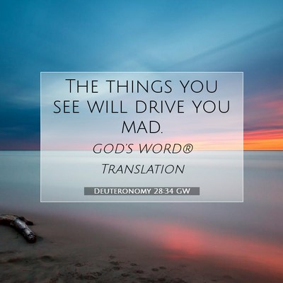 Picture 07 - Deuteronomy 28:34 GW - The things you see will drive you - Bible Verse Picture