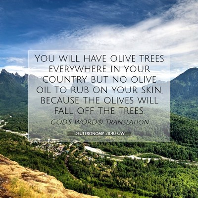 Picture 07 - Deuteronomy 28:40 GW - You will have olive trees everywhere in your - Bible Verse Picture