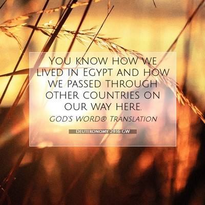 Picture 07 - Deuteronomy 29:16 GW - You know how we lived in Egypt and how we passed - Bible Verse Picture