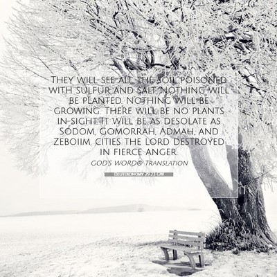 Picture 07 - Deuteronomy 29:23 GW - They will see all the soil poisoned with sulfur - Bible Verse Picture