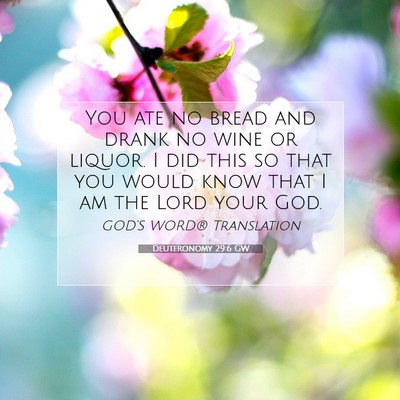Picture 07 - Deuteronomy 29:6 GW - You ate no bread and drank no wine or liquor. I - Bible Verse Picture