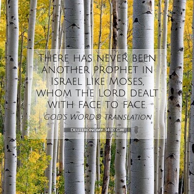 Picture 07 - Deuteronomy 34:10 GW - There has never been another prophet in Israel - Bible Verse Picture