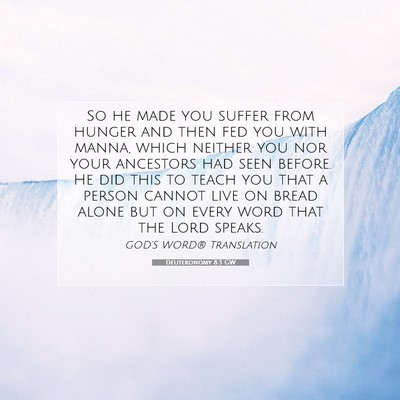 Picture 07 - Deuteronomy 8:3 GW - So he made you suffer from hunger and then fed - Bible Verse Picture