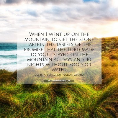 Picture 07 - Deuteronomy 9:9 GW - When I went up on the mountain to get the stone - Bible Verse Picture