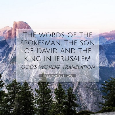 Picture 07 - Ecclesiastes 1:1 GW - The words of the spokesman, the son of David and - Bible Verse Picture