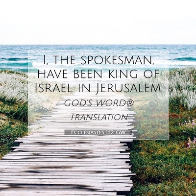 Picture 07 - Ecclesiastes 1:12 GW - I, the spokesman, have been king of Israel in - Bible Verse Picture